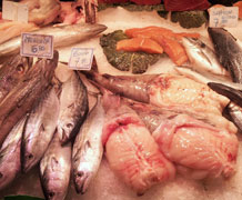fish market main